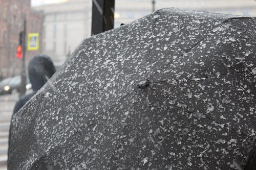 В Петербурге высота снежного покрова обогнала Москву
