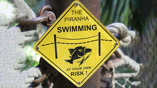 Из городского аквариума в свободное плавание чуть не отправились пираньи
