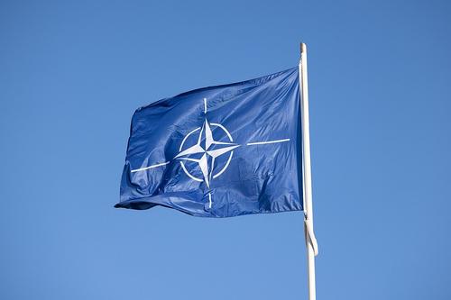 Программа сотрудничества Украины и НАТО не включает поставки летального оружия