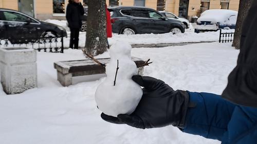 Снежный циклон добрался до Петербурга