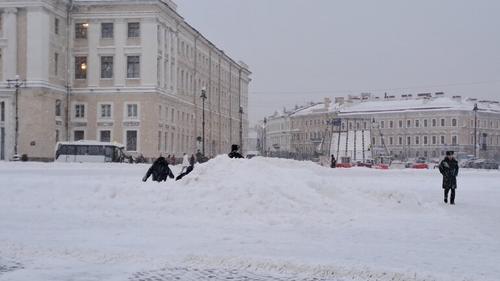 Заморозки будут в Петербурге до 10 декабря