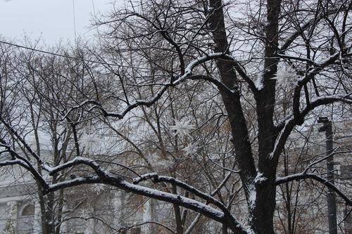 МЧС предупредило петербуржцев об ухудшении погоды
