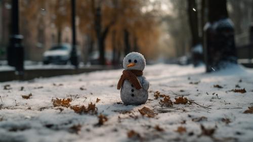 Зима пришла в Приморье: насколько суровой будет погода в регионе на этой неделе?