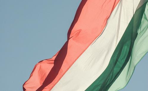 Глава МИД Литвы обвинил Венгрию в том, что она выступает против Европы