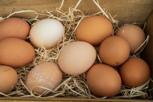 В Россию завезут яйца из Азербайджана и Турции