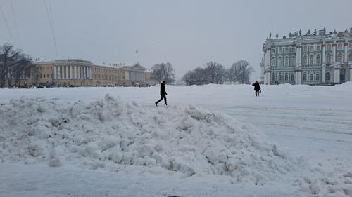 В Петербурге за минувшую неделю выпало 18 сантиметров снега
