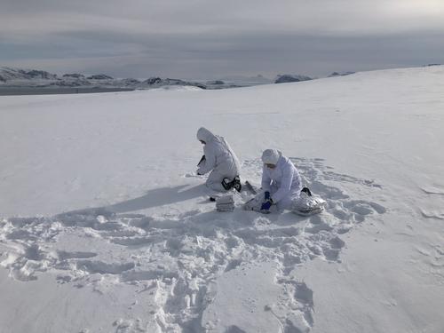 На Северном полюсе в выпавших осадках обнаружены следы солнцезащитных средств 