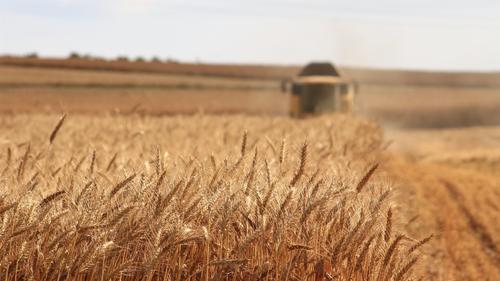 Экспорт зерна из России с начала сезона обновил исторический рекорд