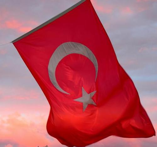 Источник: Турция не намерена спешить с одобрением членства Швеции в НАТО