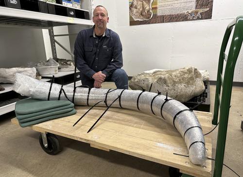 Шахтеры в США обнаружили бивень мамонта, погребенный тысячи лет назад