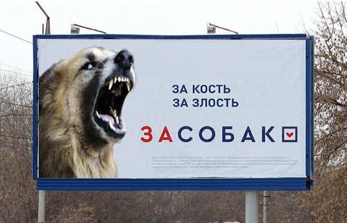 Эксперт: Необходимо срочно принять меры по ограничению деятельности радикальных зоозащитников в России