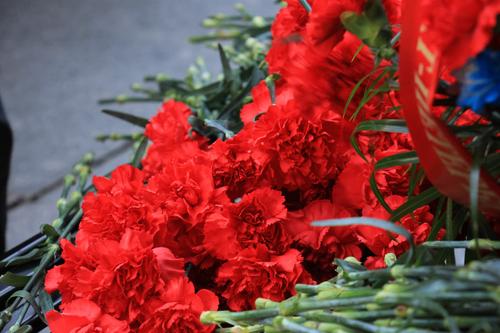 Поляков и Енокаев возложили цветы к Триумфальной арке Победы в Красном Селе