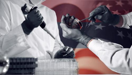 СМИ: Армения согласилась поставить 13-ю биолабораторию США возле базы ВС РФ