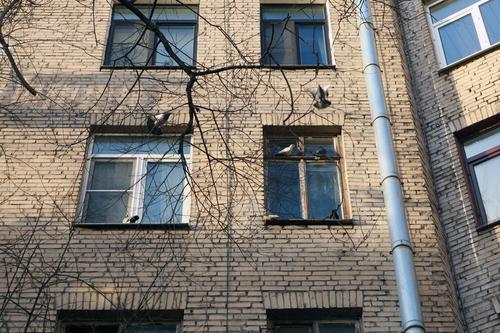 Четырехлетний мальчик выпал из окна квартиры в Ленобласти