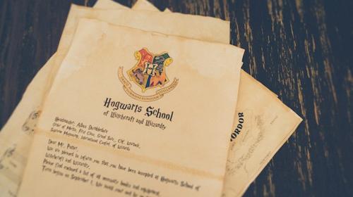 За подделку книг о «Гарри Поттере» житель Кургана заплатит более 22 млн рублей 
