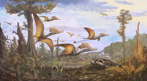 Обнаружен новый вид птерозавра «Крыло в тумане» юрского периода 