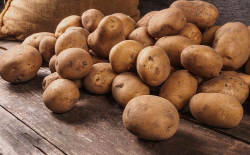 В Хабаровске собрались клонировать картофель