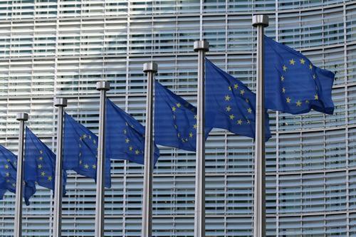 Глава МИД Бельгии Лябиб: США давят на ЕС из-за замороженных российских активов