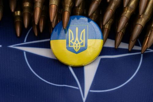 Экс-сотрудник ЦРУ Макговерн: НАТО распадется после конфликта на Украине