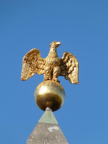 Бронзового орла с памятника в Румянцевском саду отправили на реставрацию