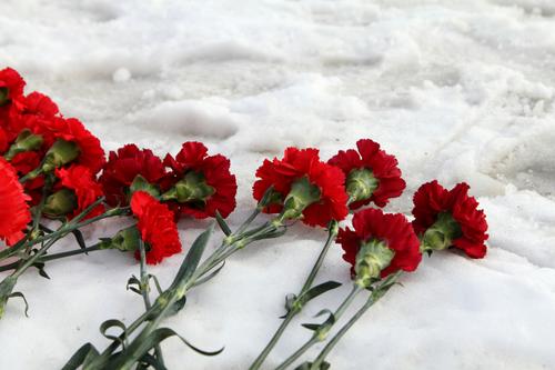 В Петербурге возложили цветы к могиле Анатолия Собчака