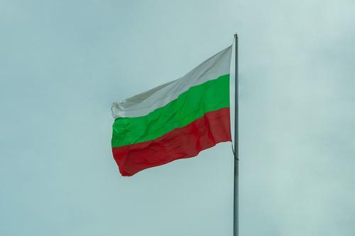 Euractiv: Болгария задерживает поставку 100 бронетранспортеров для армии Украины