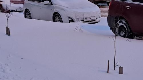 Жители Карелии более двух тысяч раз за зиму пожаловались на неубранные дворы