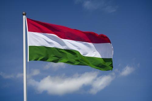 Парламент Венгрии ратифицировал заявку властей Швеции на членство в НАТО