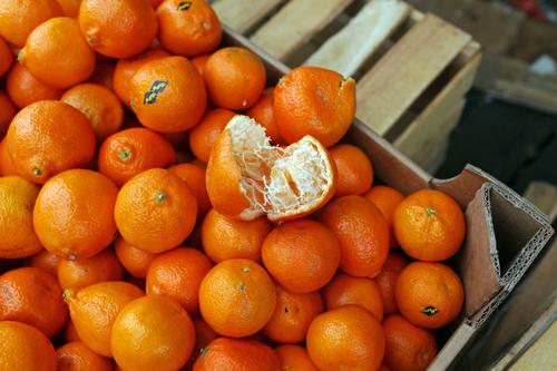 В Карелию из Египта завезли зараженные паразитами апельсины 