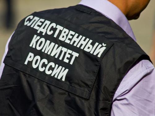 Украинский беспилотник атаковал в Брянской области сотрудников СК РФ