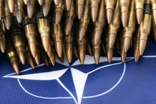 Цуруока: НАТО не станут отправлять войска в Киев