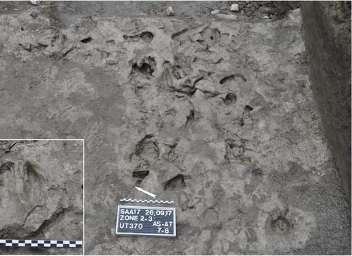 Археологи обнаружили следы от неолитового плуга 7000 летней давности