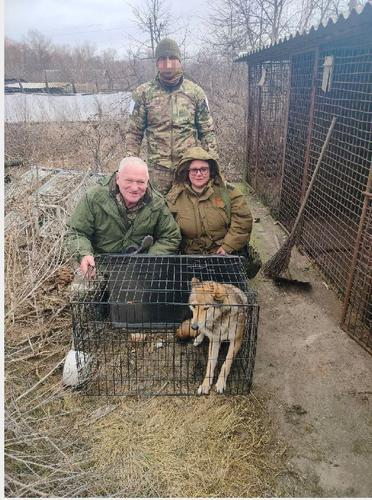 Корреспондент «АН» вывезла из зоны СВО волчицу и трёх енотов