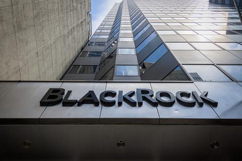 Распил: BlackRock готовит регистрацию Фонда развития Украины на $15 млрд