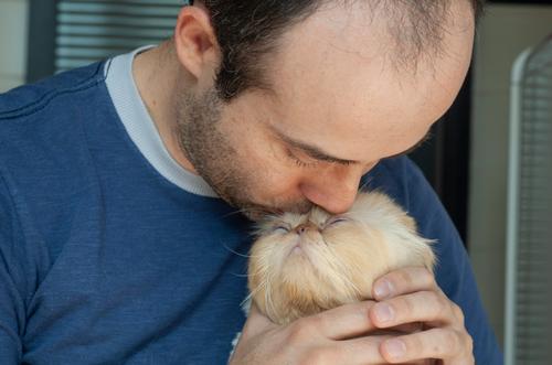 Ветеринары предупредили, что целовать кошку может быть опасно для здоровья