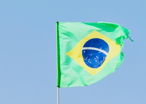 Folha de S.Paulo: Бразилия хочет сделать визит Путина на саммит G20 возможным