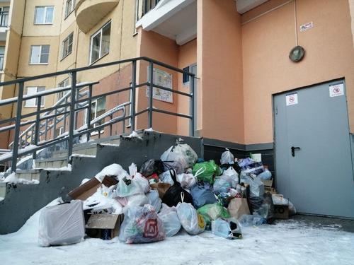 Петербуржцы более чем 800 раз пожаловались на мусор в городе