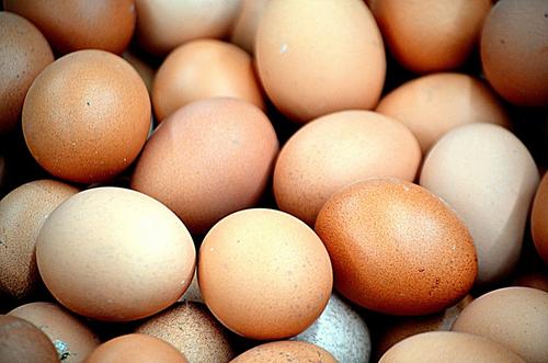 ФАС начала проверку ценообразования на куриные яйца в Петербурге с «Ленты»