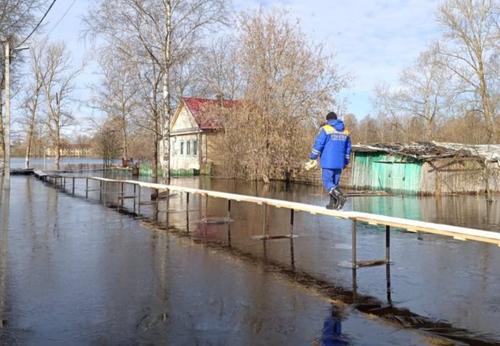 Вода в реке Тихвинке подтопила 90 участков на территории Ленобласти