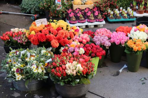 Депутаты Тюмени потратят 1,5 млн рублей из бюджета на букеты цветов
