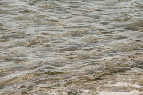 Мэр Салмин: паводковая ситуация в Оренбурге остается критической, вода прибывает