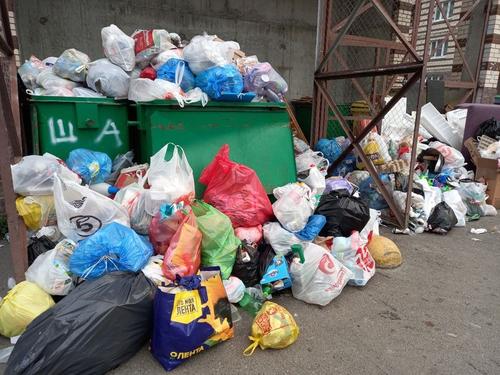 Более чем 300 жалоб на мусор поступило от жителей Петербурга за два дня