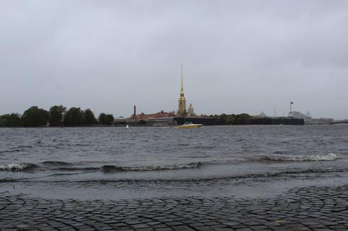 В Петербурге ветер разгонится до 20 метров в секунду