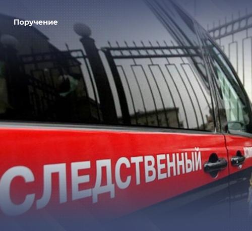 РИА Новости: против правнучки Чкалова возбуждено дело о призывах к терроризму