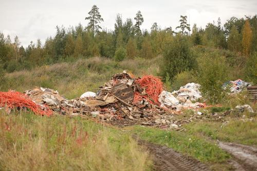 Прокуратура Тамбова обнаружила нарушения на полигоне в Кирсановском районе