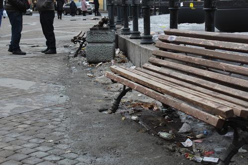 За день жители Петербурга больше 300 раз пожаловались на мусор в городе