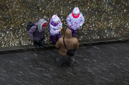 На востоке Ленобласти пошел снег