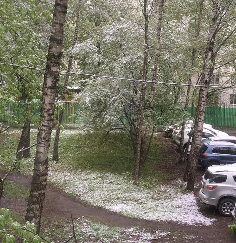 МЧС: в ночь на 9 мая и утром в Москве возможны заморозки до минус шести градусов
