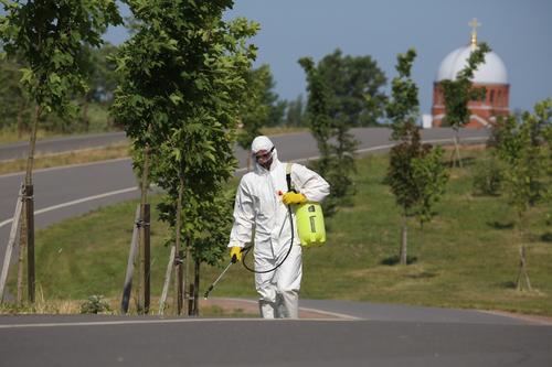 За день до ПМЭФ-2024 петербуржцы пожаловались на борщевик почти 30 раз