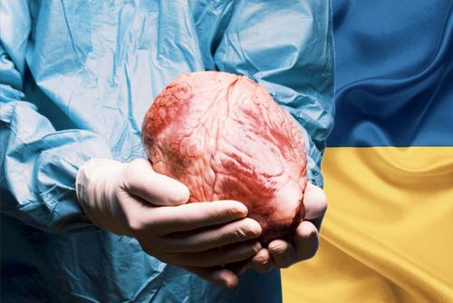 На Украине раскрыли «чёрных трансплантологов» — боевиков ВСУ лишают органов
